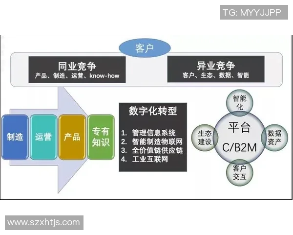 深圳网球队进攻革新之路探索与实践分析